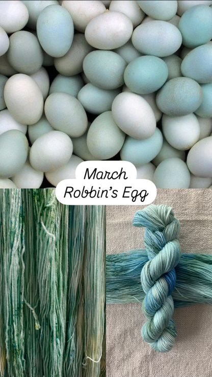 Bi-Monthly Yarn Subscription